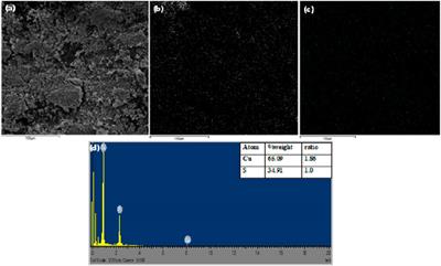 Temperature Controlled Evolution of Pure Phase Cu9S5 Nanoparticles by Solvothermal Process